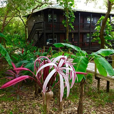 Upachaya Eco-Lodge & Wellness Resort Mud Hole Екстер'єр фото